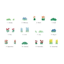 Bloom Pop Up Calendar 2024 -Stationery Shop bloom pop up calendar 2024 3