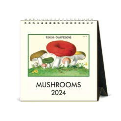 Stationery Shop -Stationery Shop cavallini 2024 mushroom desk calendar 1