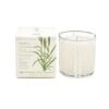 Fresh Cut Grass Candle