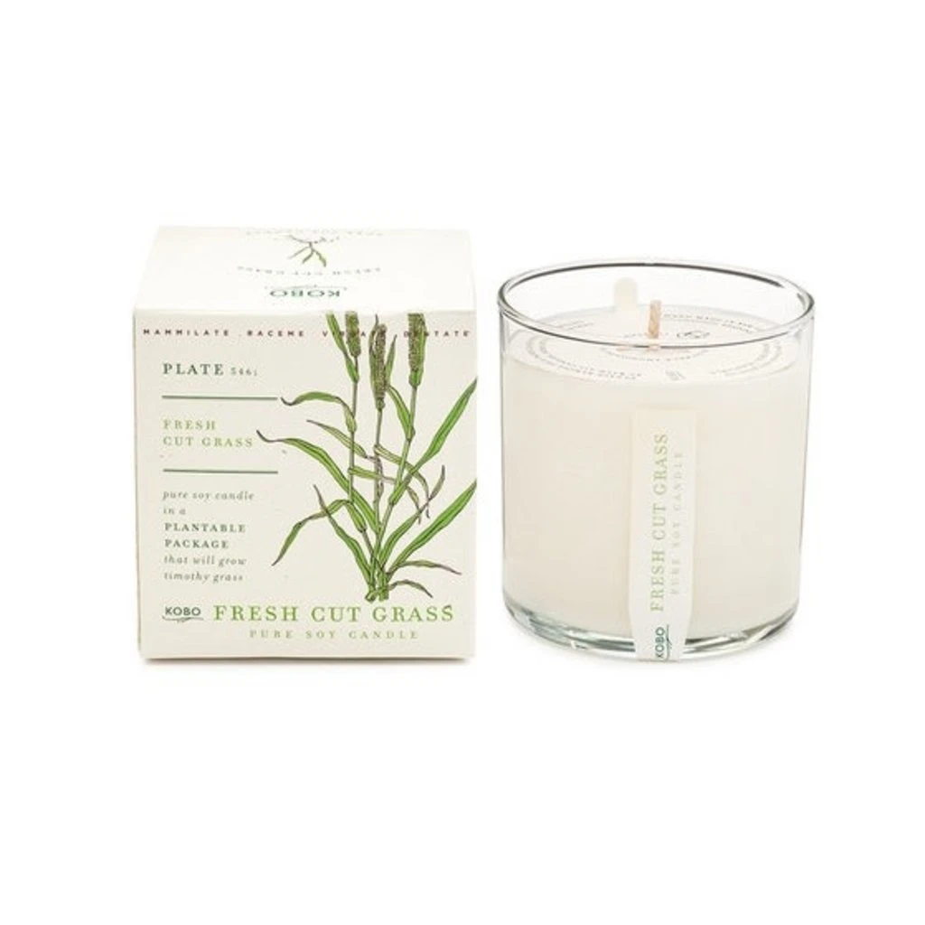 Fresh Cut Grass Candle 1 Fresh Cut Grass Candle