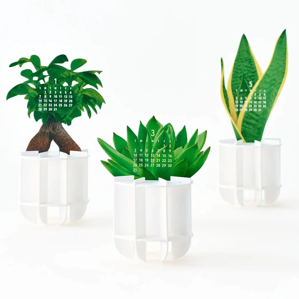 Green Plants Pop Up Calendar 2024 2 Green Plants Pop Up Calendar 2024 - Image 2