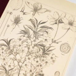 Hobonichi Plain Notebook Yamazakura A5 13 Hobonichi Plain Notebook Yamazakura A5 -Stationery Shop hobonichi hobonichi plain notebook yamazakura a5 5