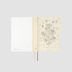 [sold Out] [ENG] HON A5 Tomitaro Makino 2024 Hobonichi Techo -Stationery Shop hobonichi sold out eng hon a5 tomitaro makino 2024 5