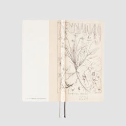 [sold Out] Tomitaro Makino: Shihai Sumire Weeks 2024 Hobonichi Techo -Stationery Shop hobonichi sold out tomitaro makino shihai sumire w 4