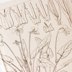 [sold Out] Tomitaro Makino: Shihai Sumire Weeks 2024 Hobonichi Techo -Stationery Shop hobonichi sold out tomitaro makino shihai sumire w 7