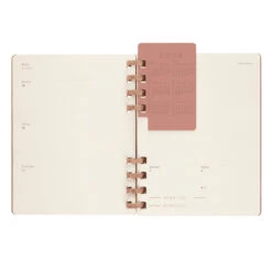 Moleskine Almond Weekly And Monthly Life Planner 2024 12 Moleskine Almond Weekly And Monthly Life Planner 2024 -Stationery Shop moleskine almond weekly and monthly life planner 2 5