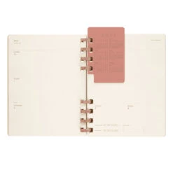 Moleskine Kiwi Weekly And Monthly Student Life Planner 2023-24 10 Moleskine Kiwi Weekly And Monthly Student Life Planner 2023-24 -Stationery Shop moleskine kiwi weekly and monthly student life pla 4