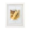 Handmade Papermaking Kit