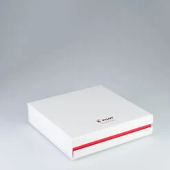 Pilot Vanishing Point 2022 Red Coral Limited Edition Fountain Pen Medium -Stationery Shop pilot pilot vanishing point 2022 red coral limited 7