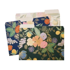 Colette File Folder Set