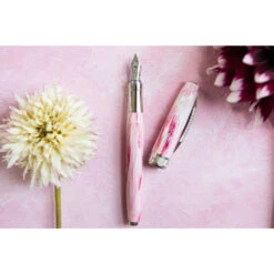 Visconti Van Gogh Souvenir De Mauves Fountain Pen Medium Nib Set -Stationery Shop visconti visconti van gogh souvenir de mauves foun 2